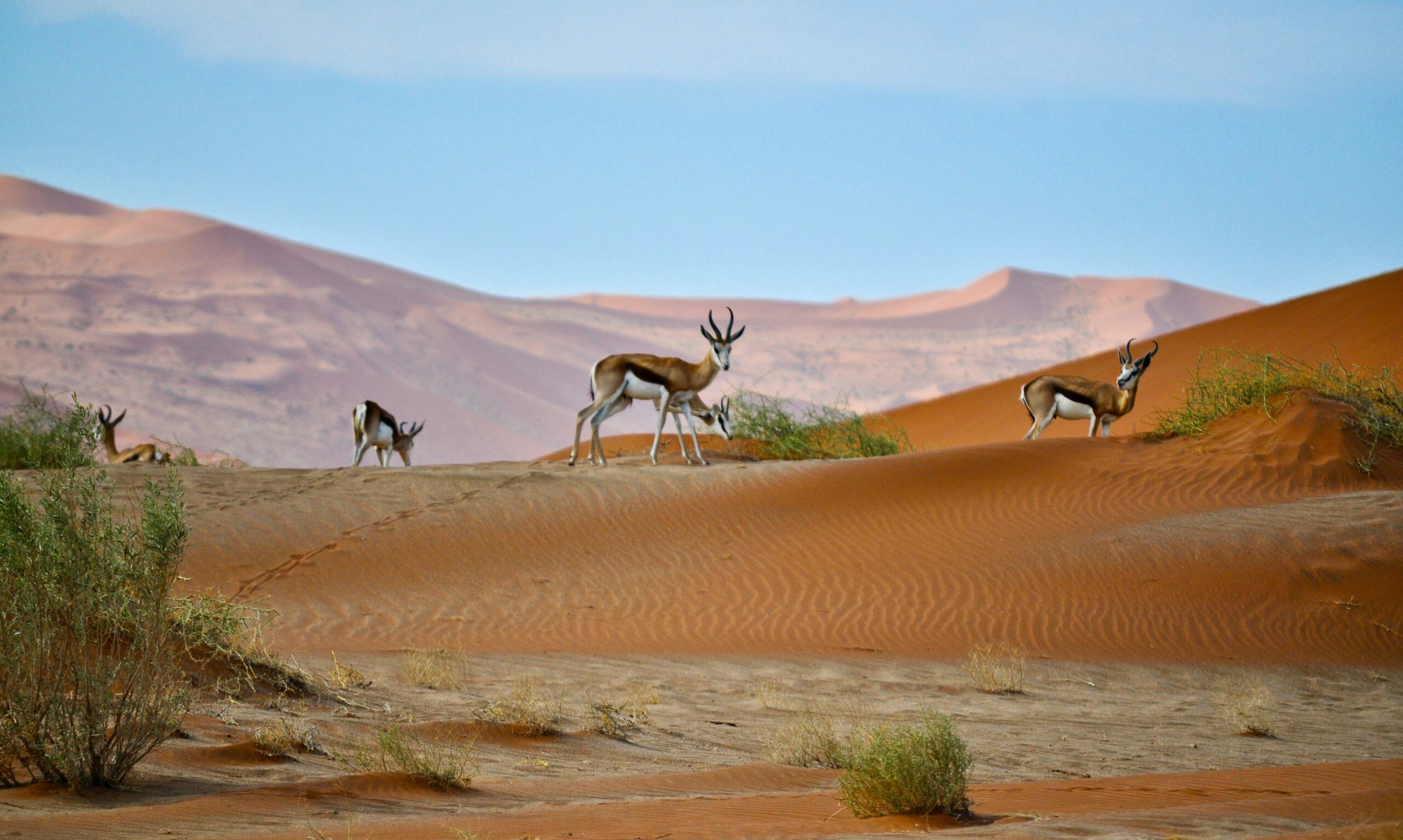 Namibia matkakohteena – muutakin kuin luontomatkailua