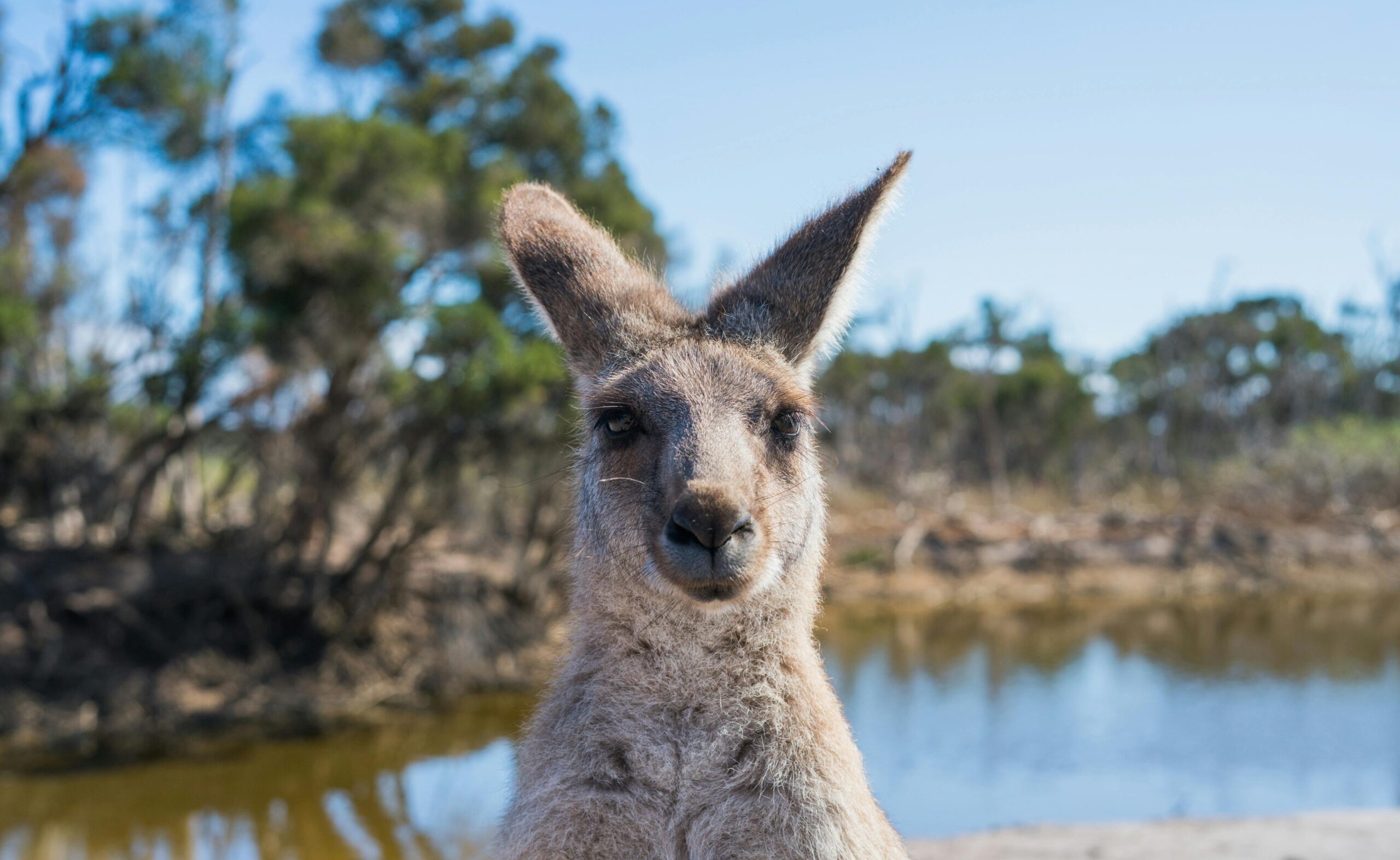 Paras aika matkustaa Australiaan